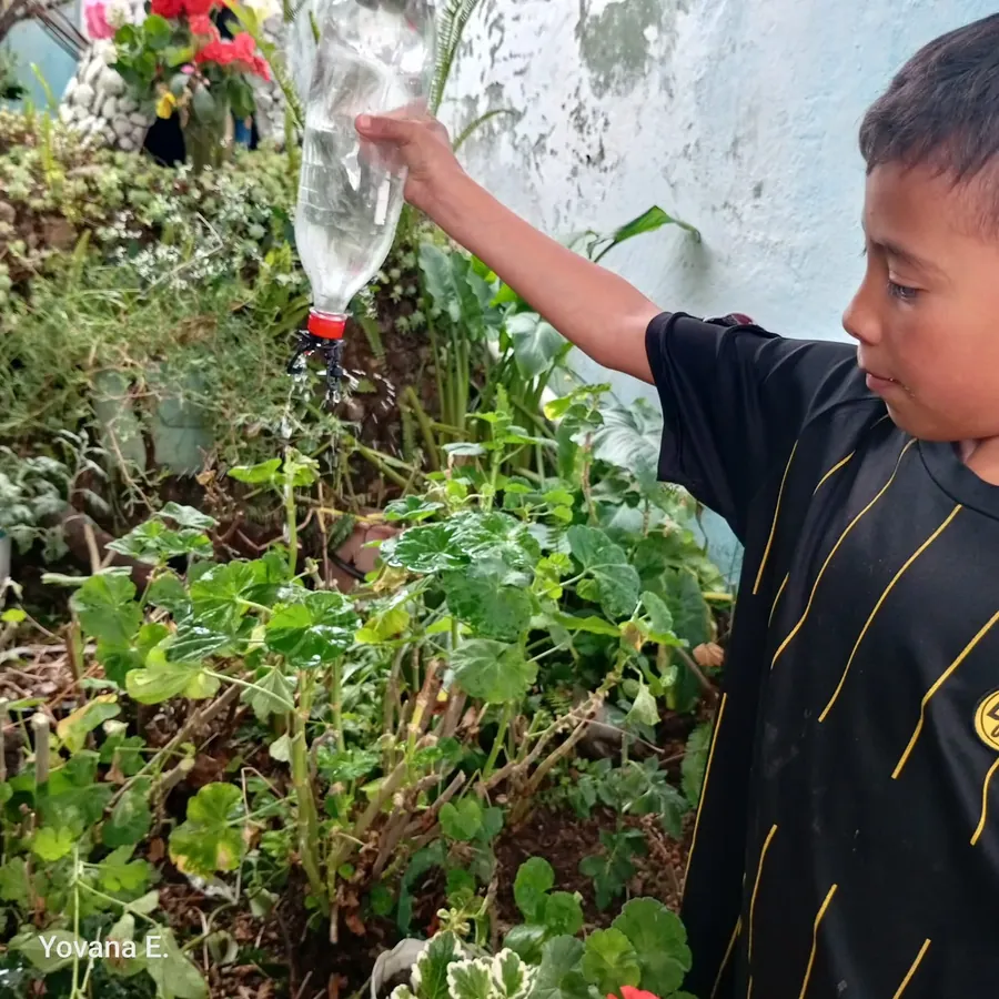 Guardians of the Páramo and the Seeds